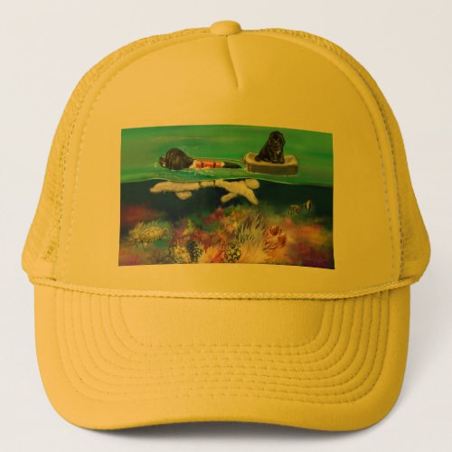 GRNC Hat for Splash Landseer
