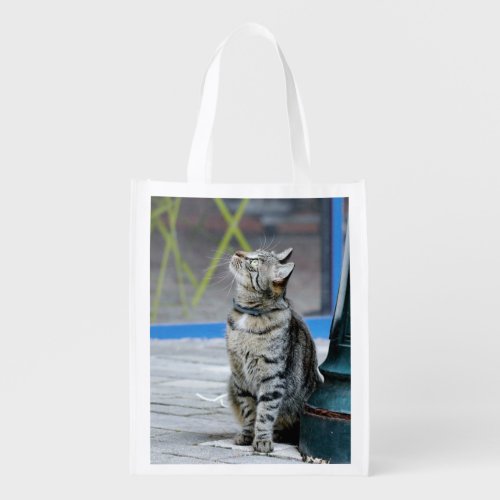 grocery bag Photo pet cat grocery bag