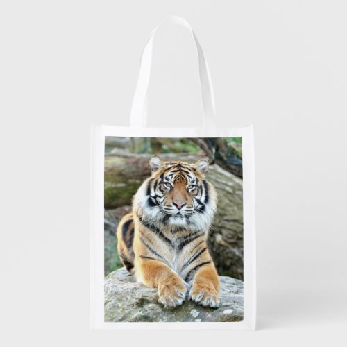 grocery bag Photo tiger cat grocery bag