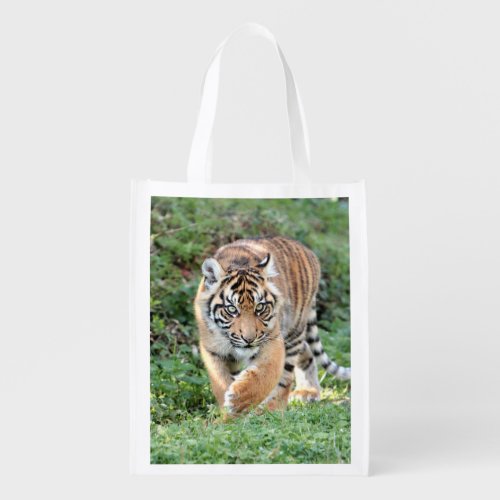 grocery bag Photo tiger cat grocery bag