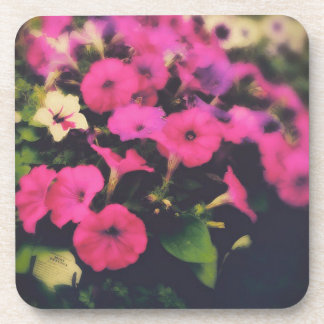 Grocery Store Flowers Beverage Coaster