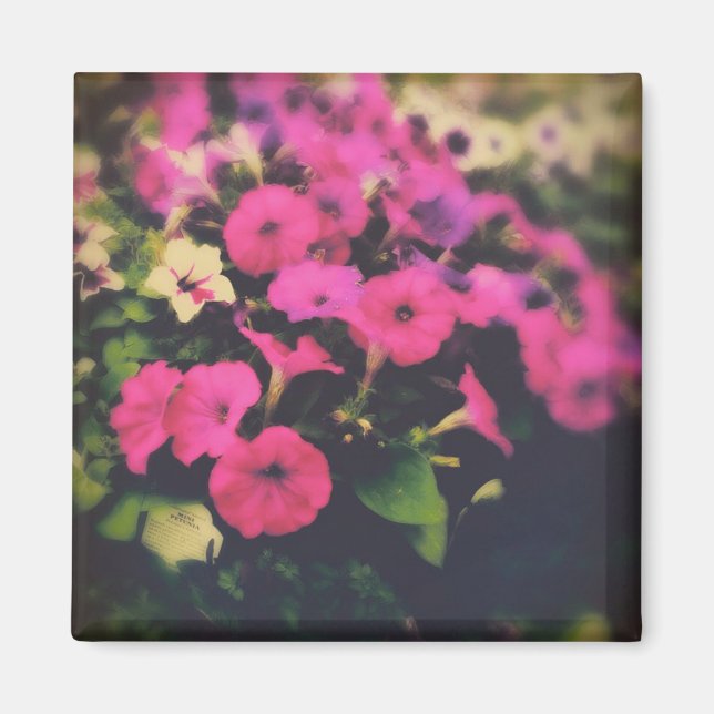 Grocery Store Flowers Magnet (Front)