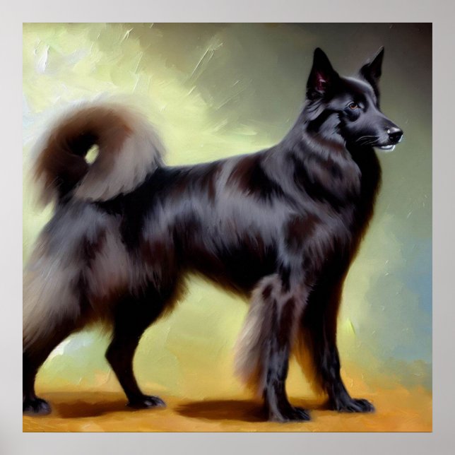 Groenendael Belgian Shepherd Dog  Poster (Front)
