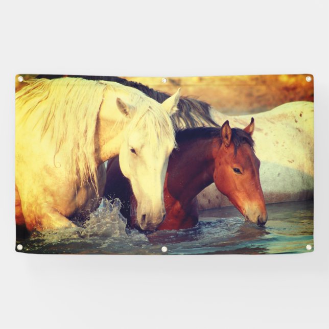 GROMMET VYNIL Banner (Horizontal)