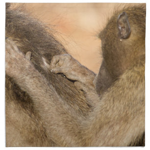 Grooming baboons cloth napkin