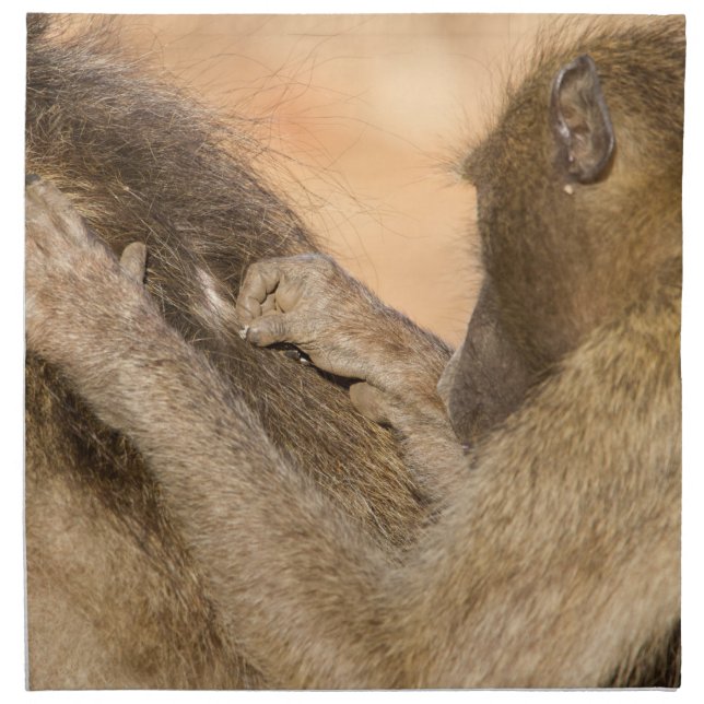 Grooming baboons cloth napkin (Front)