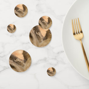 Grooming baboons confetti