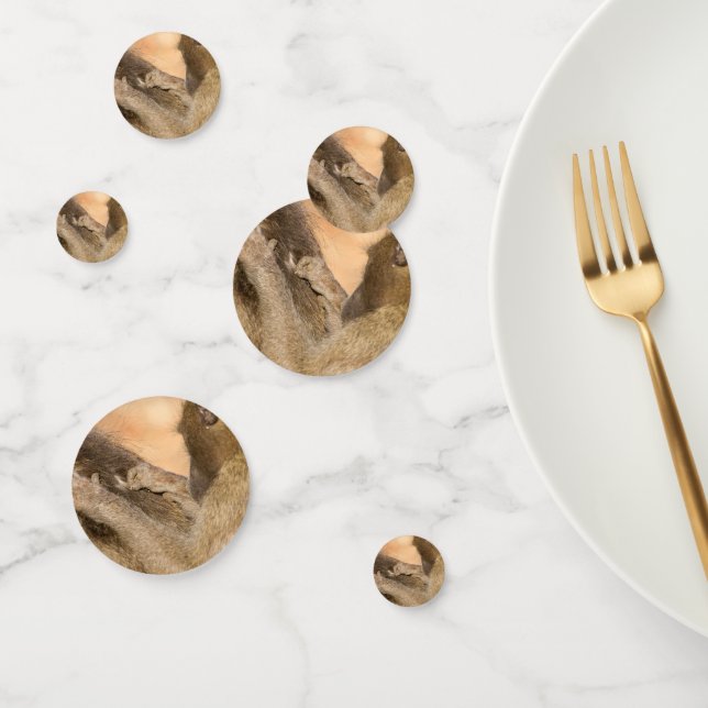 Grooming baboons confetti (Group)