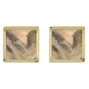 Grooming baboons cufflinks
