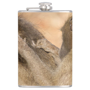 Grooming baboons flask