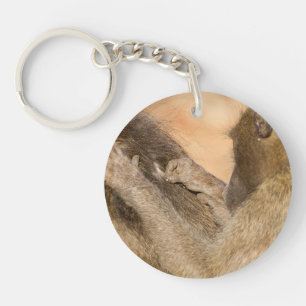 Grooming baboons keychain