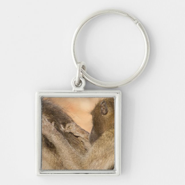 Grooming baboons keychain (Front)