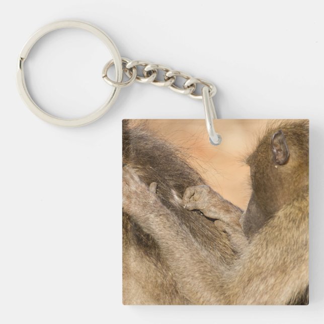 Grooming baboons keychain (Front)