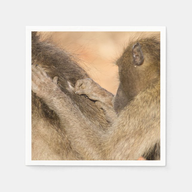 Grooming baboons napkins (Front)