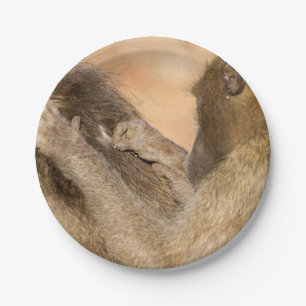 Grooming baboons paper plates