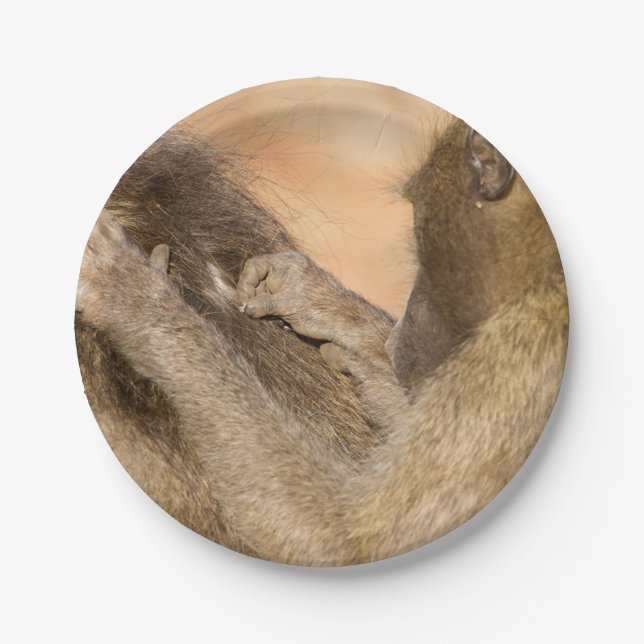 Grooming baboons paper plates (Front)