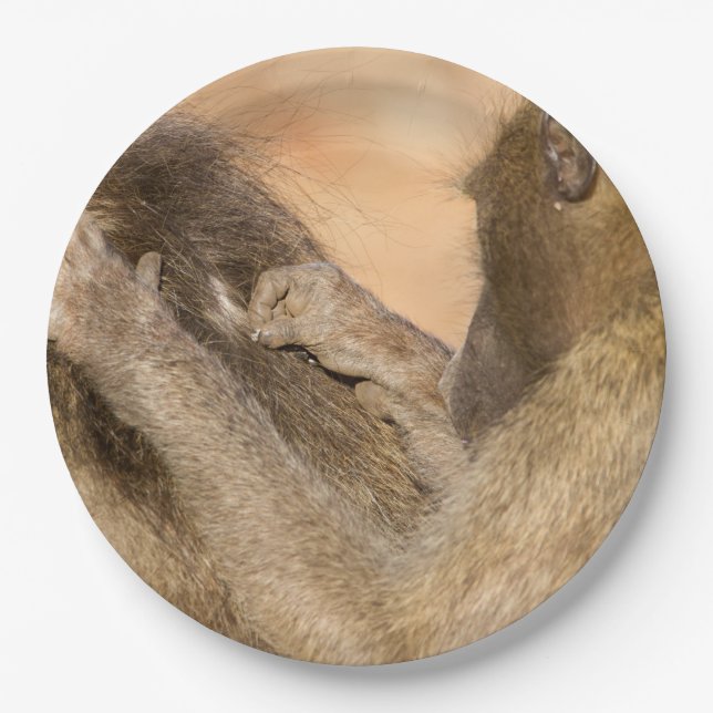 Grooming baboons paper plates (Front)
