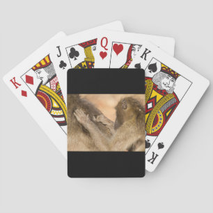 Grooming baboons poker cards