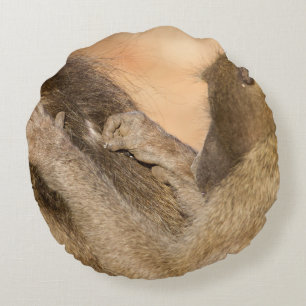 Grooming baboons round pillow
