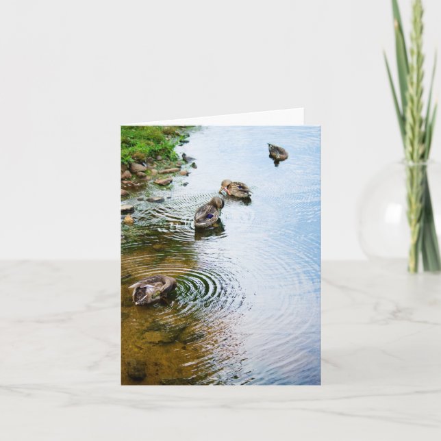 Grooming Ducks 2 Card (Front)