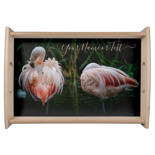 Grooming Flamingos Serving Tray