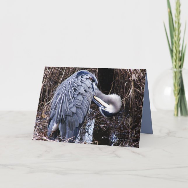 Grooming Heron Card (Front)