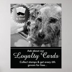Grooming Loyalty Cards Poster