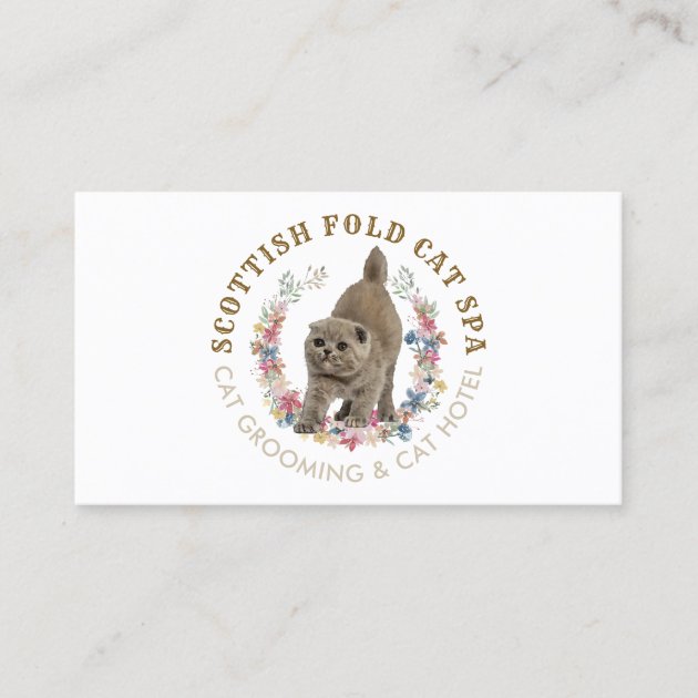 Grooming Salon Pet Spa Scottish Fold Cat Business Card