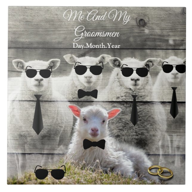 Groomsmen Sheep Flock Baby Lamb Ceramic Tile (Front)
