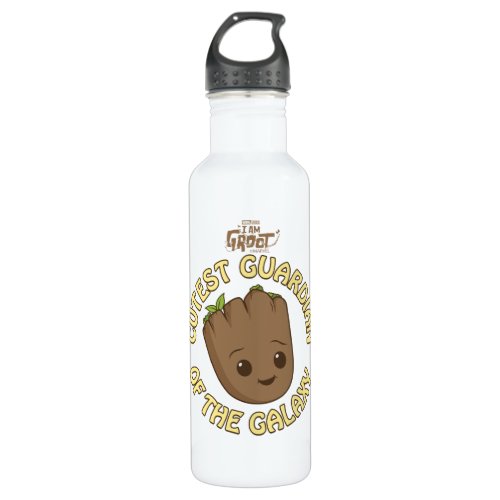 Groot _ Cutest Guardian of the Galaxy Stainless Steel Water Bottle