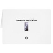 Groovin' in the streets (Back Horizontal)