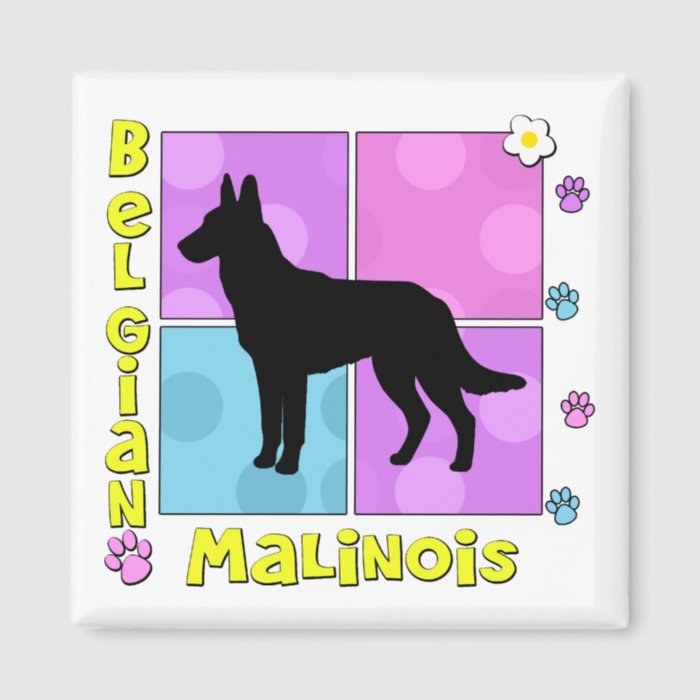 Groovy Belgian Malinois Fridge Magnet