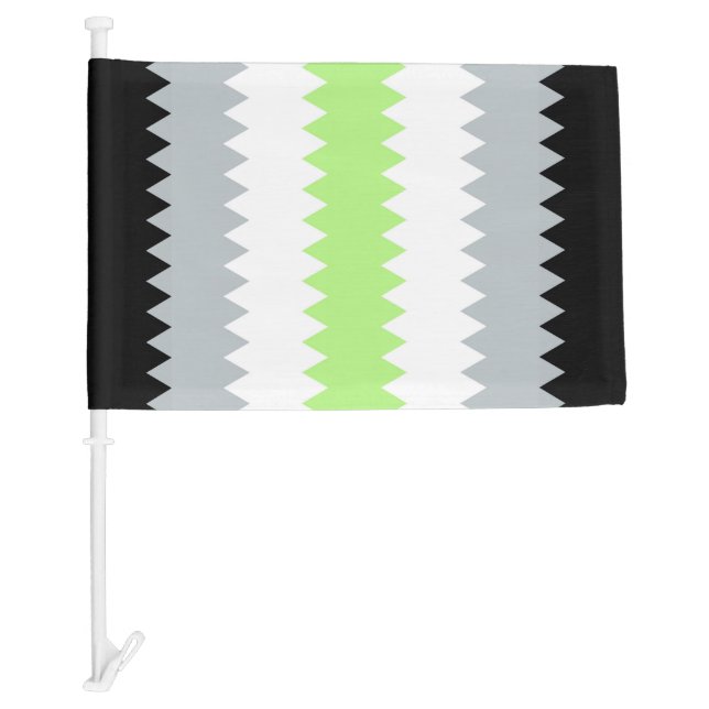 Groovy Boho ZigZag Abstract Agender Pride Flag (Front)