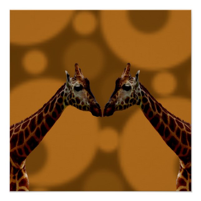 Groovy Giraffes A Go Go,   Poster (Front)