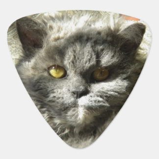 Groovy Mandolin Picks