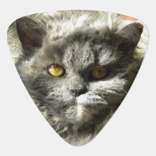 Groovy Mandolin Picks (Front)