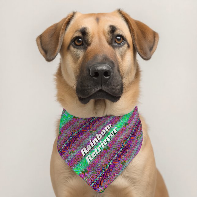Groovy Swirls Rainbow Retriever Pet Bandana Collar (Dog 2)