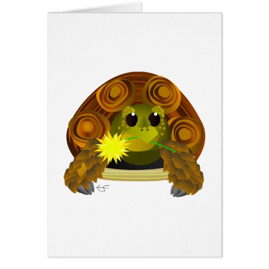 Groovy Tortoise Cards (Front)