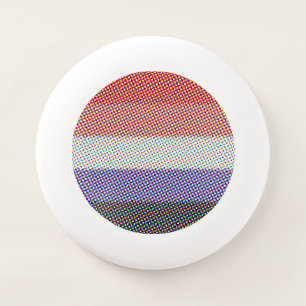 Groovy Trippy Abstract Cupioromantic Pride Flag Wham-O Frisbee