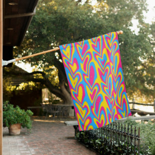 Groovy Trippy Squiggly Quirky Pansexual Pride House Flag