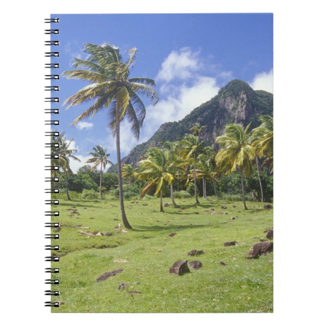 Gros Piton view along the historic trail in Notebook (Front)