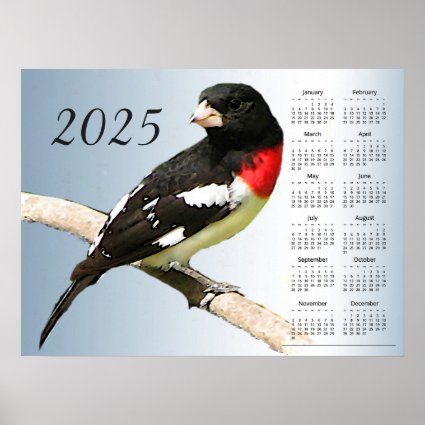 Grosbeak Bird 2025 Animal Nature Calendar Poster