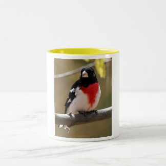 Grosbeak Coffee Mug