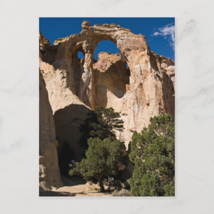 Grosvenor Arch Postcard