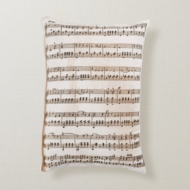 Grötlunken I Medevi accent pillow (Back(Vertical))