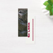 Grotto Bookmark (Desk)