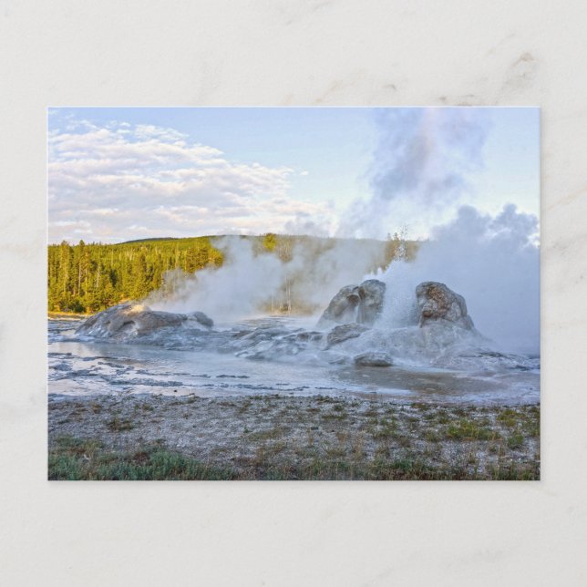 Grotto Geyser, Yellowstone National Park Postcard (Front)