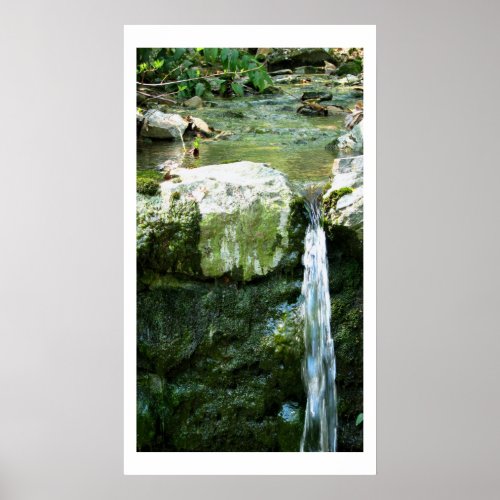 Grotto Springs 2 Fine Art Photograph Poster