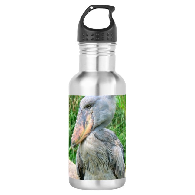 Grouch with Bird Stainless Steel Water Bottle (Front)