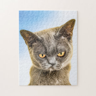 GROUCHY CUTE KITTY CAT ART JIGSAW PUZZLE